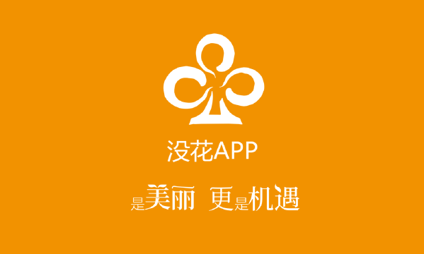 移动app 硬件 公司介绍 贵州没花网络科技通过打造咨询服务